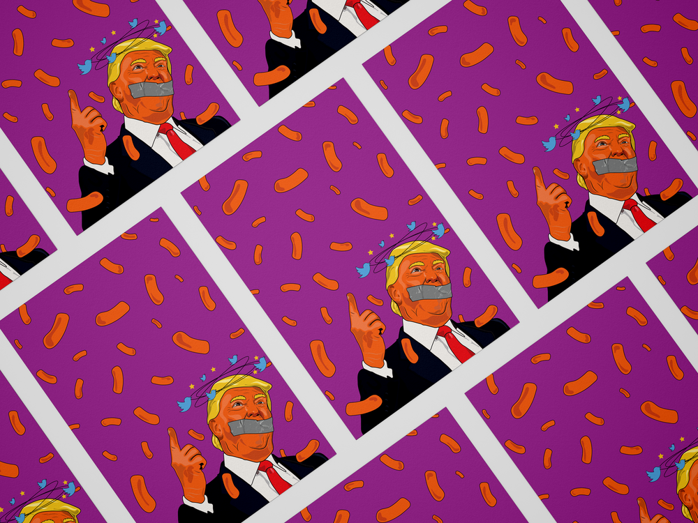 Bye Donald Poster.