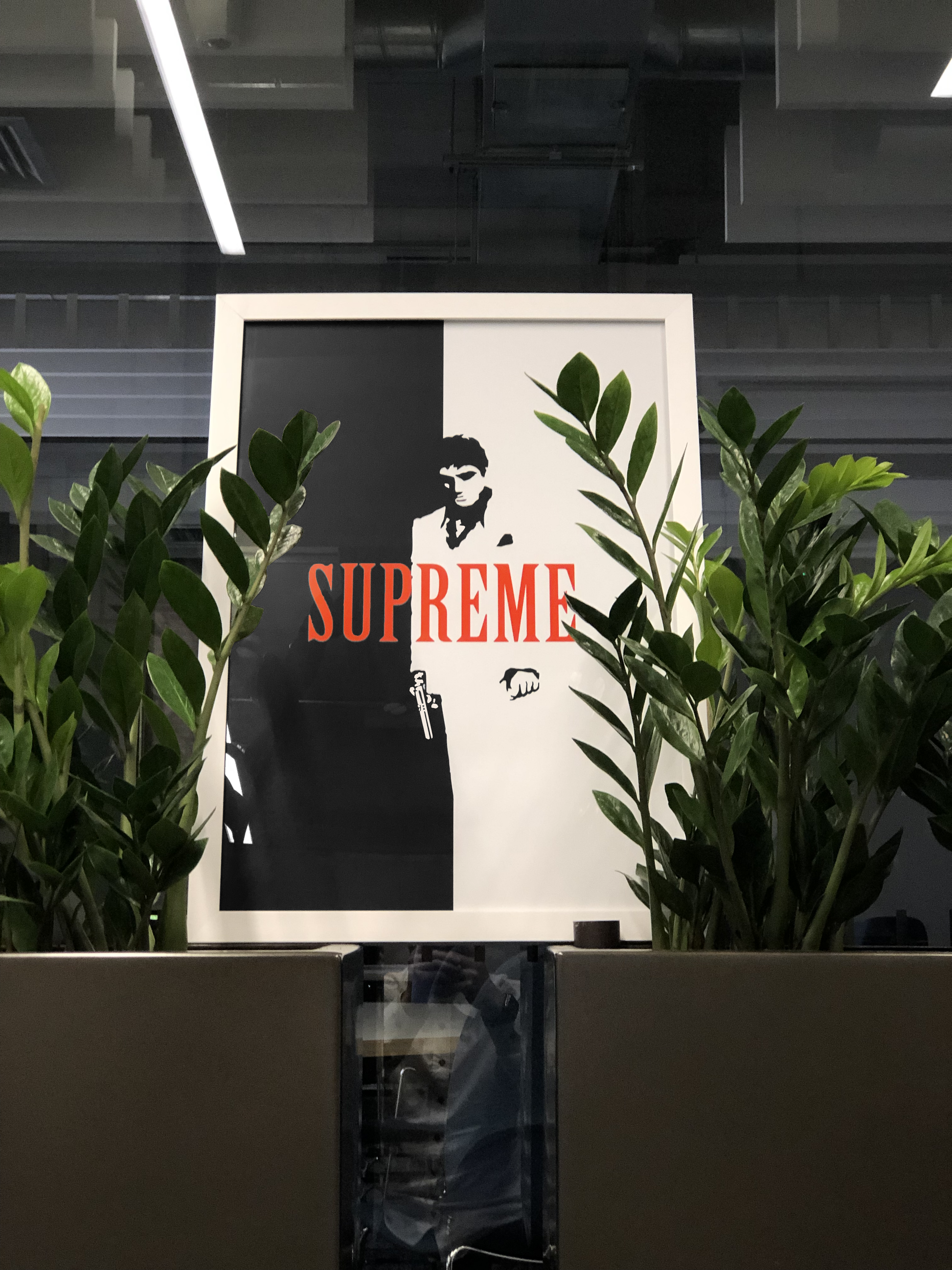 Premium & Sustainable Supreme Scarface Poster Print. Hand crafted in the UK from the highest quality paper, created with sustainable FSC paper. Texturised inks, brings the poster to life. Available to purchase with a Polcore Recycled Plastic Frame with Perspex screening to let your print do the talking. Global shipping